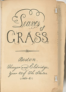 cover Leaves of Grass