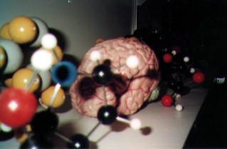 brain chem on shelf  p2s1.jpg (26279 bytes)
