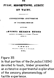 [Figure 35]