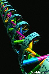 DNA computer image Part 4.jpg (11025 bytes)