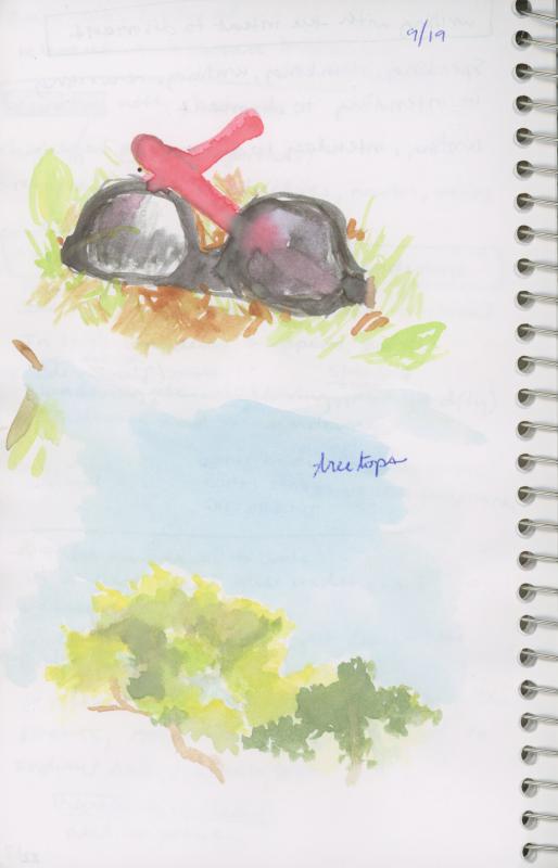 trying out the watercolors from Nan - - 