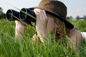 naturalist using binoculars
