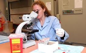 biologist using microscope