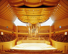 interior Gehry's concert hall in LA