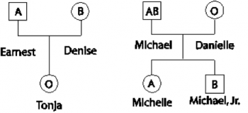 Family tree by blood type