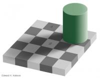 checkershadow.jpg