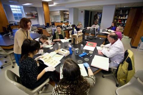 Artists and Scientists in the lab