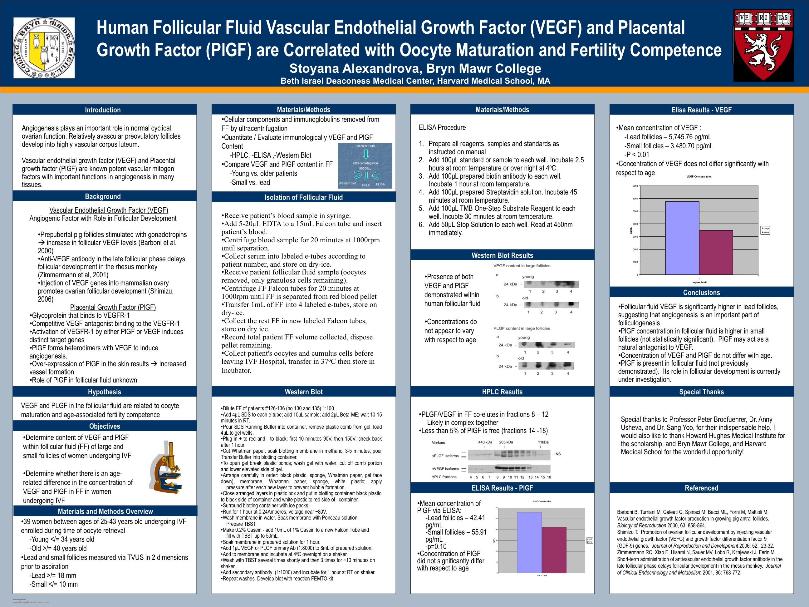 What Is E Poster Example